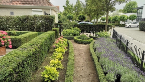 Tuinonderhoud