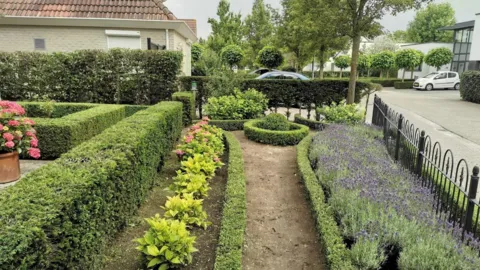 Tuinonderhoud